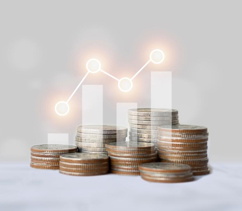 fund management